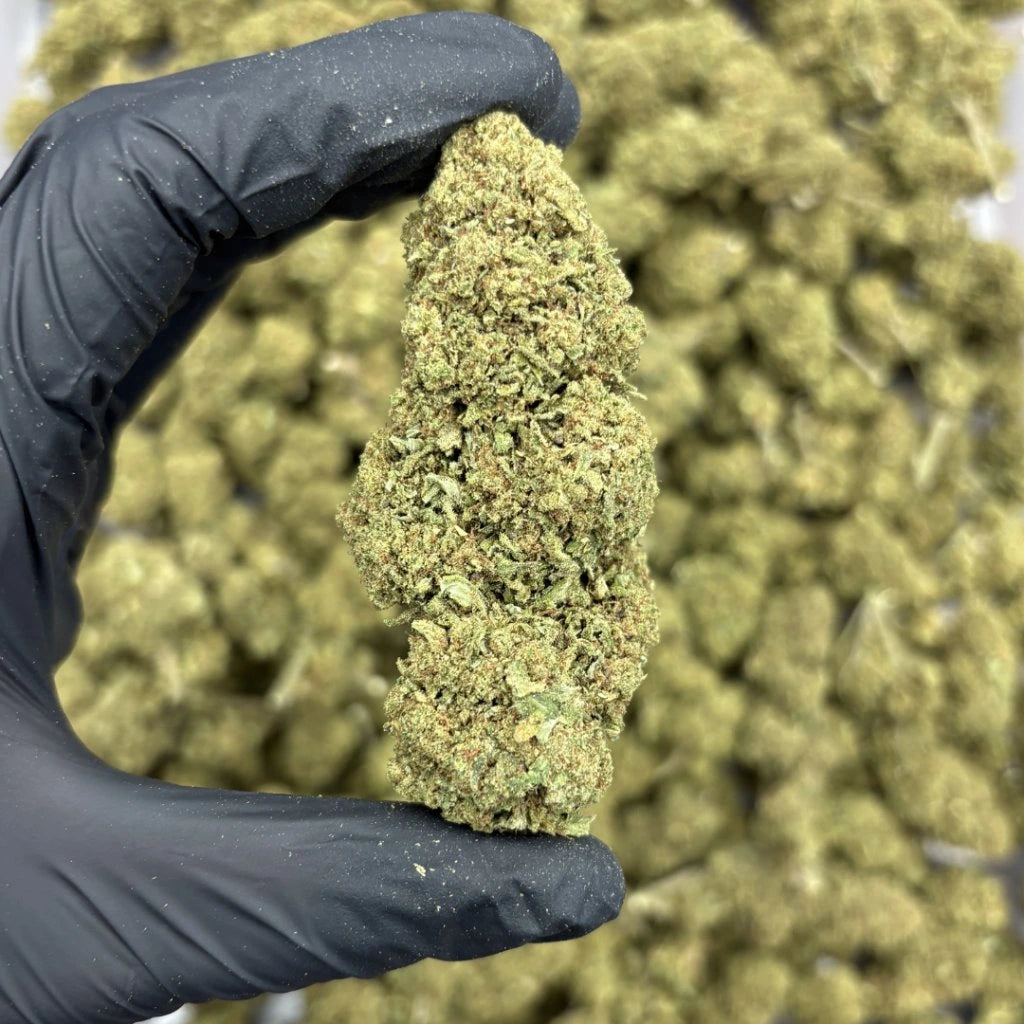 THC-X GREENHOUSE Blüten Passion Fruit Amnesia – THC-X: 40 %, CBD: 10,65 %, THC: 0,09 %