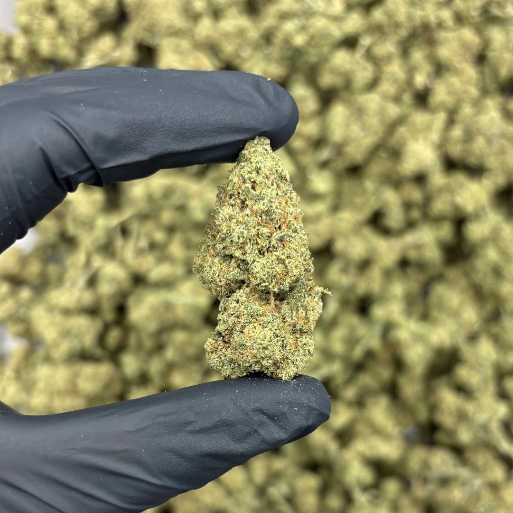 THC-X GREENHOUSE Blüten Banana OG Kush – THC-X: 40 %, CBD: 7,66 %, THC: 0,08 %