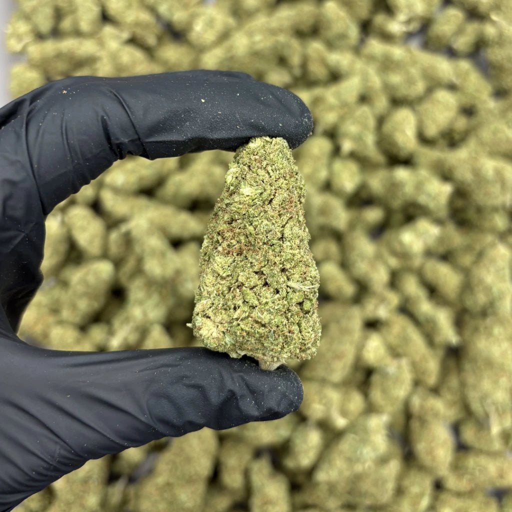 THC-X GREENHOUSE Blüten Guava Biscotti – THC-X: 40 %, CBD: 10,57 %, THC: 0,14 %